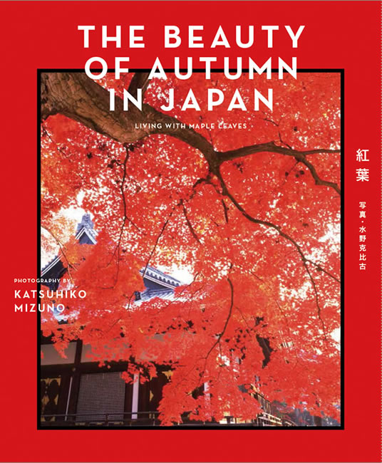 THE BEAUTY OF AUTUMN IN JAPAN